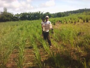 A10 1.13km SE of AEOPA Plant 869sqm March Expansion